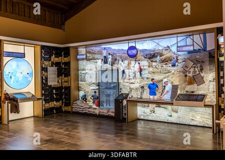 Ein großes Fotomosaik von Archäologen bei der Ausgrabung von Çatalhöyük, einer der berühmtesten neolithischen Siedlungen der Welt, bildet das Herzstück dieser Museumsaustellung in Çumra, Türkei, flankiert von einer Weltkarte und Reihen von Fundschubladen. Interaktive Touchscreens ermöglichen es Besuchern, Details der laufenden Ausgrabung zu erkunden. Stockfoto