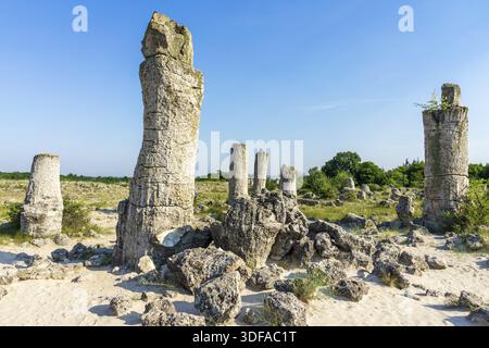 Pobiti Kamani (gepflanzte Steine), auch bekannt als die Steinwüste, ist ein wüstenartiges Gesteinsphänomen im Nordwesten der bulgarischen Provinz Varna Stockfoto