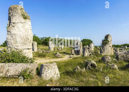 Pobiti Kamani (gepflanzte Steine), auch bekannt als die Steinwüste, ist ein wüstenartiges Gesteinsphänomen im Nordwesten der bulgarischen Provinz Varna Stockfoto