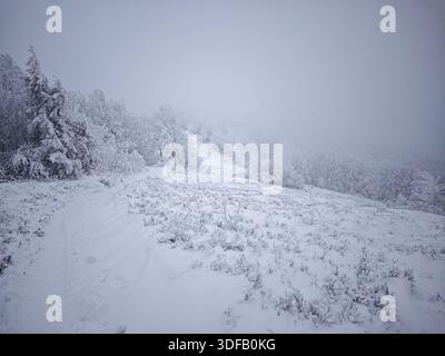 Schwere Winterbedingungen auf dem Berg Jasło, Bieszczady, Polen. Extremer Raureif und Reimeis bedecken Vegetation in einer nebeligen, gefrorenen Landschaft. Stockfoto