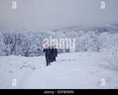 Vier Wanderer wandern durch den tiefen Schnee auf dem Mount Jaslo, den Bieszczady Mountains. Eine Gruppe von Bergsteigern, die sich unter extremen Winterbedingungen auf einem Trail bewegen. Stockfoto
