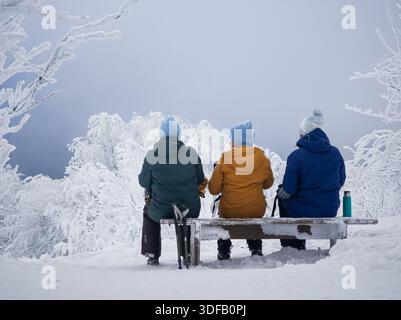 „Die drei Schwestern im Winter“ – Ein besinnlicher Moment in der gefrorenen Wildnis der Bieszczady-Berge in Polen. Stockfoto