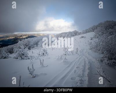 Ein schmaler Wanderweg durch tiefen Schnee, der in den eisigen Nebel führt. Ein dramatischer Winterpfad auf dem Berg Jaslo, Bieszczady, Polen Stockfoto