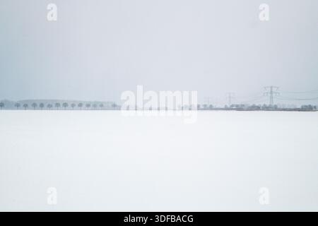 Winter im Nationalpark de Biesbosch in den Niederlanden. Stockfoto