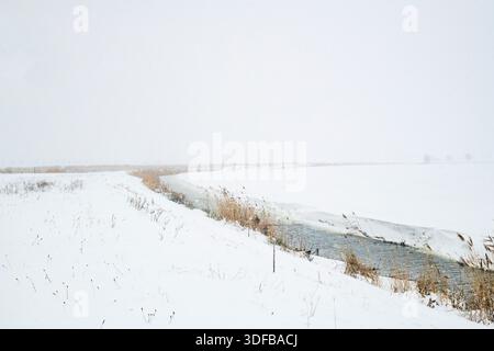 Winter im Nationalpark de Biesbosch in den Niederlanden. Stockfoto