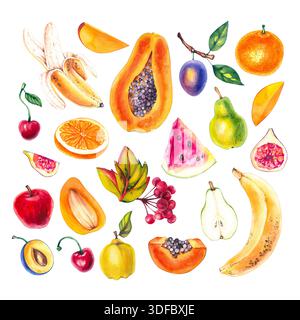 Aquarellfrucht-Set tropische Früchte Stockfoto