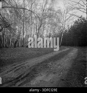 Region Donezk, Ukraine, UdSSR, 1950er Jahre Ein stimmungsvolles Schwarz-weiß-Archivfoto, das eine schlammige Feldstraße zeigt, die sich durch einen Mischwald kurvt. Auf der linken Seite erhebt sich ein Hain aus weißen Birken, während ein dunkler Kiefernwald den Pfad auf der rechten Seite begrenzt. Große Pfützen auf dem Boden spiegeln den grauen Himmel wider. Die Szene zeigt das Frühjahrstauen oder die Rasputitsa im Spätherbst. Das Bild zeigt die charakteristische Körnung eines Films aus der Mitte des 20. Jahrhunderts. Diese Landschaft vermittelt ein Gefühl von Reisen und Einsamkeit. Die Aussicht weckt Erinnerungen an die friedliche Natur des Donbass. Stockfoto