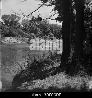 Region Donezk, Ukraine, UdSSR, 1950er Jahre Ein stimmungsvolles Schwarz-weiß-Archivfoto, das im Sommer einen malerischen Blick auf den Fluss macht. Im Vordergrund bilden dunkle Baumstämme und hohes Gras die Komposition rechts. Auf dem ruhigen Wasser sind mehrere hölzerne Ruderboote mit Menschen zu sehen. Das gegenüber liegende Ufer bietet einen Sandstrand mit vielen Urlaubern und einen dichten Wald im Hintergrund. Diese Landschaft veranschaulicht beliebte Wasseraktivitäten und Freizeitaktivitäten im Freien in der Sowjetzeit. Das Bild weckt Nostalgie für die sonnigen Tage eines friedlichen Donbass. Stockfoto