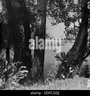 Region Donezk, Ukraine, UdSSR, 1950er Jahre Zwei stimmungsvolle Schwarzweiß-Archivfotos, die Flussszenen durch natürliche Rahmen einfangen. Auf einem Bild umrahmen strukturierte Baumstämme ein Ruderboot mit Menschen, die über das Wasser gleiten. Auf der anderen Seite umgeben dunkle Baumsilhouetten einen einsamen Fischer in einem kleinen Boot auf einem ruhigen See. Die Wasseroberfläche spiegelt perfekt den Wald und den Himmel wider. Diese malerische Aussicht veranschaulicht die ruhige Schönheit von Outdoor-Freizeit und Einsamkeit. Die Bilder erinnern an die Nostalgie für die friedliche Natur des Donbass. Stockfoto