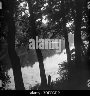 Region Donezk, Ukraine, UdSSR, 1950er Jahre Zwei stimmungsvolle Schwarzweiß-Archivfotos, die Flussszenen durch natürliche Rahmen einfangen. Auf einem Bild umrahmen strukturierte Baumstämme ein Ruderboot mit Menschen, die über das Wasser gleiten. Auf der anderen Seite umgeben dunkle Baumsilhouetten einen einsamen Fischer in einem kleinen Boot auf einem ruhigen See. Die Wasseroberfläche spiegelt perfekt den Wald und den Himmel wider. Diese malerische Aussicht veranschaulicht die ruhige Schönheit von Outdoor-Freizeit und Einsamkeit. Die Bilder erinnern an die Nostalgie für die friedliche Natur des Donbass. Stockfoto