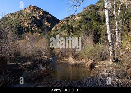 Ein ruhiger Abschnitt des Malibu Creek fließt durch Auwälder unter felsigen Hügeln im Malibu Creek State Park, Kalifornien. Stockfoto