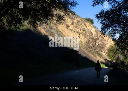 Im Malibu Creek State Park, Kalifornien, erwartet Sie ein einsamer Wanderer auf einem schattigen Pfad unter Eichenbäumen, mit sonnendurchfluteten Hügeln. Stockfoto