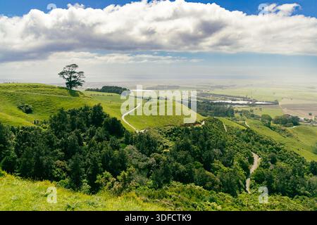 Rolling Green Hills Winding Road Entferntes Farmland Stockfoto