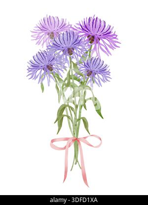 Kornblume und Aster Blumen Blumenstrauß Aquarellillustration auf weißem Hintergrund für Blumenverpackung, Etiketten, Grußkarten, Schreibwaren, Hochzeitsdesign, botanisches Branding Stockfoto