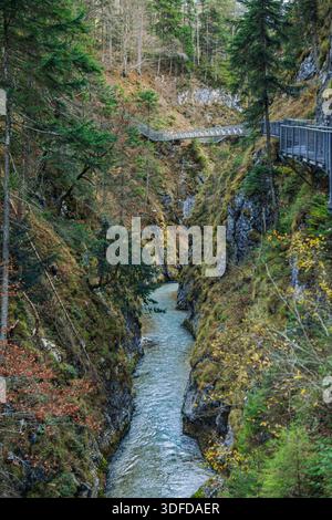 Eine schmale Waldschlucht mit einem fließenden Fluss zwischen steilen felsigen Hängen. Stockfoto