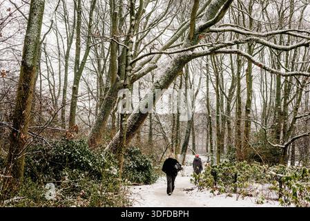 Zwei Personen laufen auf dem Snowy Forest Path im Amsterdam Park Stockfoto