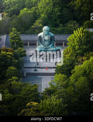 Blick aus der Vogelperspektive auf den Großen Buddha, oder Daibutsu, eine monumentale Bronzestatue, die ruhig inmitten eines lebendigen Waldes sitzt, Kamakura, Kanagawa, Japan. Stockfoto