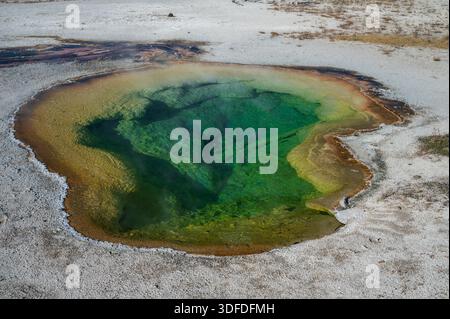 Hochwinkelaufnahme eines Thermalbades mit tiefgrünem Wasser und orangen Mineralablagerungen am Rand, gelegen in einem geothermischen Gebiet von Yellowstone Stockfoto