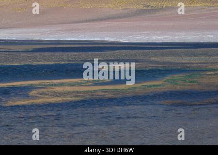 Hochwinkelansicht der Salzflächen und Mineralablagerungen in einer Wüstenlagune in Südamerika. Stockfoto