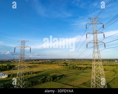 Hochspannungs-Übertragungsturm, der in einem grünen Reisfeld unter einem klaren blauen Himmel steht und Energie und ländliche Infrastruktur symbolisiert. Stockfoto
