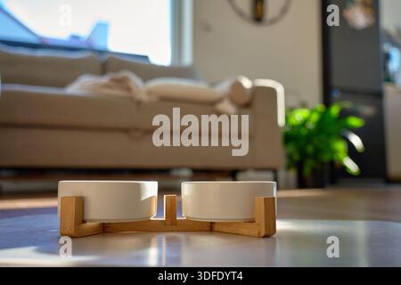 Hundefutter Schalen auf Holzständer auf dem Boden im Wohnzimmer mit natürlichem Licht. Konzept der Hundefutter, Haustierpflege und Haustierhaltung Stockfoto
