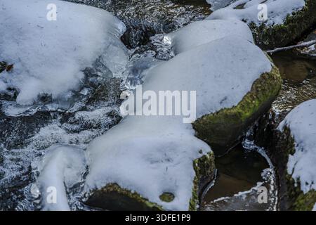 Ein klarer Bach fließt durch einen Wald. Die Steine sind mit Eis und Schnee bedeckt. Es ist Winter und die Umgebung zeigt kalte Temperaturen und Erbsen Stockfoto