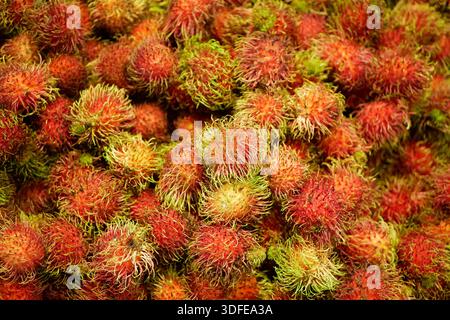 Rambutan Nephelium Lappaceum aus Südostasien, Obst exotische tropische Stände Markt essbar. Runde bis ovale, einsaatige Drupe, Gruppe von zehn bis Stockfoto