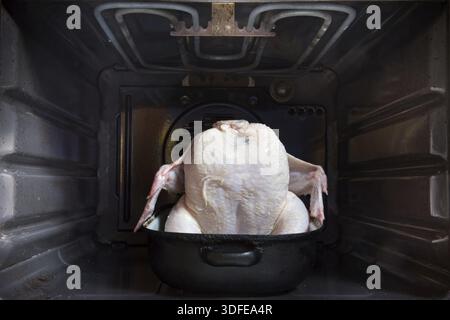Rohes Hühnchen in einer Bratpfanne im Ofen Stockfoto