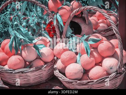 Korb voller großer reifer Orangen, verziert mit grünen Zweigen und Blumen. Zeigt Nahaufnahme Stockfoto