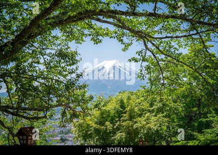 Blick auf den majestätischen, schneebedeckten Gipfel des Mount Fuji, umgeben von üppig grünem Laub, ein ruhiger Rückzugsort in die Natur, Fujikawaguchiko, Yamanashi, Japan. Stockfoto