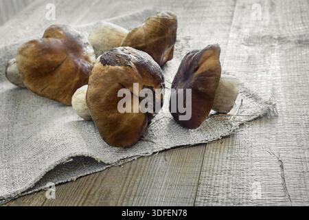 Auf dem Tisch auf einer Leinenserviette sind frische Pilze Boletus Stockfoto