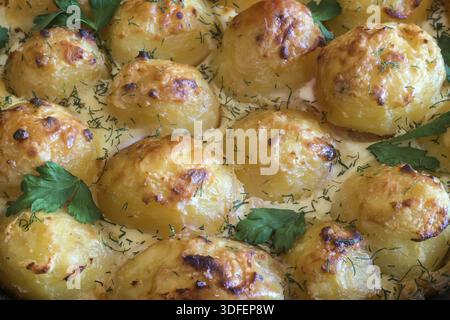 Prinzkartoffeln : im Ofen gebackene junge Kartoffeln mit Hüttenkäse. Essen Sie mit Gemüse. Russische Küche Stockfoto