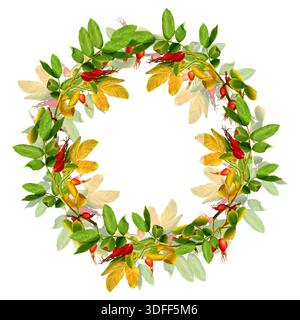 Aquarellkranz von Rosenhüften und Blättern. Handgezeichnete Illustration auf einem weißen isolierten Hintergrund. Botanische ClipArt im Herbst. Geeignet für Verpackungen. Stockfoto