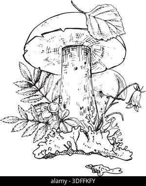Botanische Komposition des Taigawaldes. Handgezogene Pilze, Blätter, Beeren, Blume und Moos. Gut geeignet für botanische Drucke, Verpackungen, Tätowierungen, Etiketten Stock Vektor