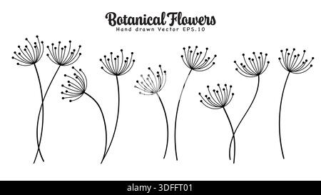 Botanische Blumen Handgezeichnetes Set Minimalist Line Art. Vektorabbildung Stock Vektor