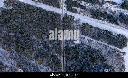 Die Winterszene in Nowy Lubiel, Polen, zeigt eine gerade, schmale Straße durch schneebedeckten Kiefernwald, parallele schneebedeckte Lichtungen, Feldweg Stockfoto