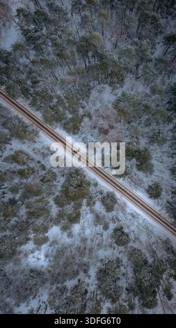 Luftaufnahme eines verschneiten Kiefernwaldes in der Nähe von Nowy Lubiel, Polen. Eine gerade Straße schneidet diagonal, schwache Reifenspuren sind sichtbar, weiches, bedecktes Licht und f Stockfoto