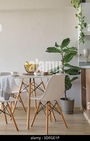 Moderner Speisesaal mit Tisch, Stühlen im eames-Stil und Feigenpflanze aus Geige Stockfoto