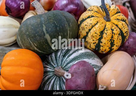 Eine Auswahl verschiedener Kürbistypen wird zusammen in einem Korb auf einem Markt platziert. Während der Herbstsaison kann man in der Nähe shoppen sehen. Stockfoto