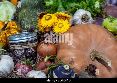 Eine Vielzahl von Gemüse, Kräutern und Blumen sind in einem Korb angeordnet. Zu den Artikeln gehören Kürbisse, Zwiebeln, Knoblauch und Blattgemüse. Diese Szene ist aus einem M Stockfoto