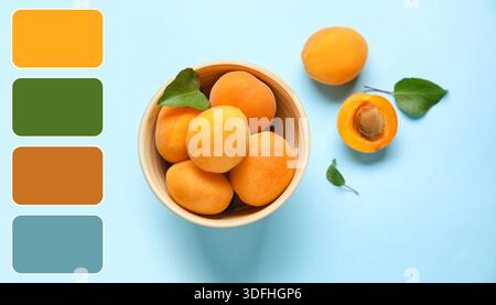 Schüssel mit Reifen Aprikosen auf hellblauem Hintergrund. Verschiedene Farbmuster Stockfoto