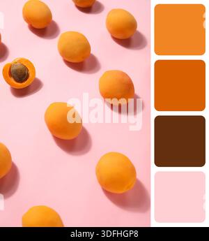 Reife Aprikosen auf rosa Hintergrund. Verschiedene Farbmuster Stockfoto