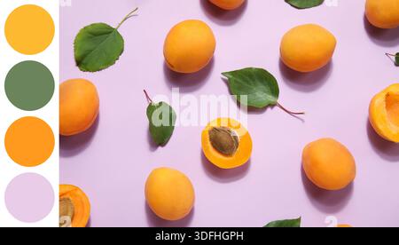 Viele reife Aprikosen und grüne Blätter auf rosa Hintergrund. Verschiedene Farbmuster Stockfoto
