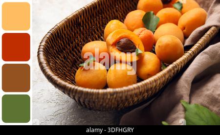 Korb mit Reifen Aprikosen, Großaufnahme. Verschiedene Farbmuster Stockfoto