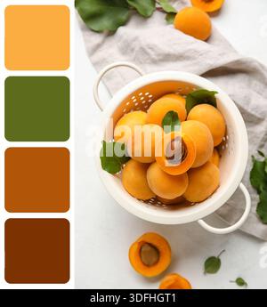 Sieb voller reifer Aprikosen auf hellem Hintergrund. Verschiedene Farbmuster Stockfoto
