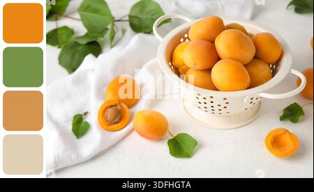 Sieb mit Reifen Aprikosen auf hellem Hintergrund. Verschiedene Farbmuster Stockfoto