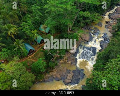 Blick aus der Vogelperspektive auf den Wild River, der durch den üppigen tropischen Regenwald fließt, Sinharaja, Sri Lanka Stockfoto