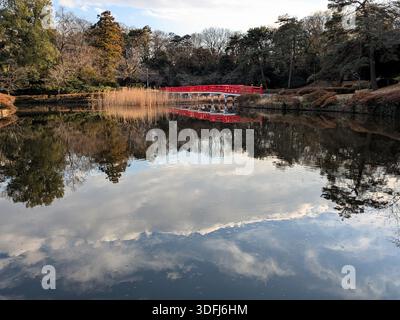 Rote Fußgängerbrücke über einen Teich im Park. Stockfoto
