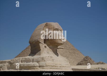 Ein prächtiger Blick auf die Große Sphinx von Gizeh und eine Pyramide im Hintergrund vor einem klaren blauen Himmel in Ägypten. Stockfoto