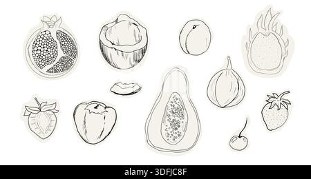 Frucht Doodle Sketch handgezeichnet Set tropische und Gartenfrüchte und Beeren. Dekorative Vektorelemente für Poster, Plakat, Grußkarte, Menü oder Hochzeitseinladung. Vektorabbildung Stock Vektor